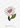 Valentine's Day Flower STL File
