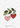 Hearts with Greenery Cookie Cutter