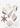 Sea Shell Cookie Cutter Set