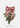 Christmas Holly Cookie Cutter