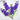 Larkspur Cookie Cutter