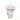 Tulips In Can Cookie Cutter