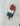 Tall 4th of July Popsicle cookie cutter